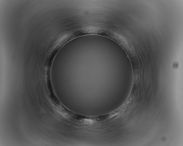 X0000098150167200804171621