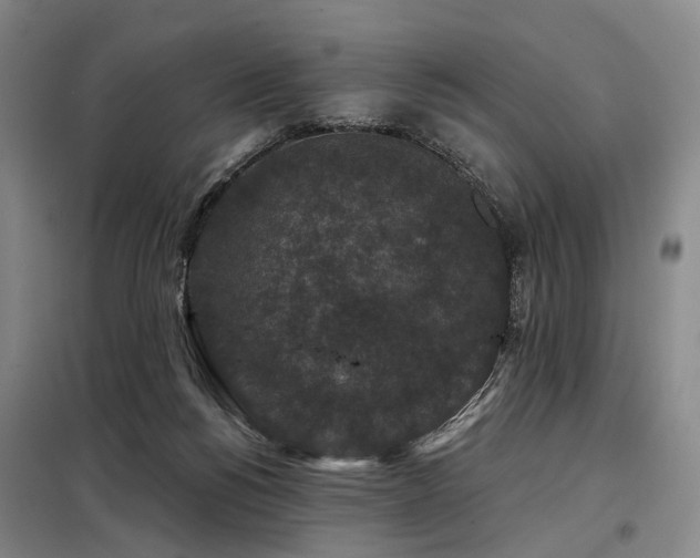 X0000098150168200804171621