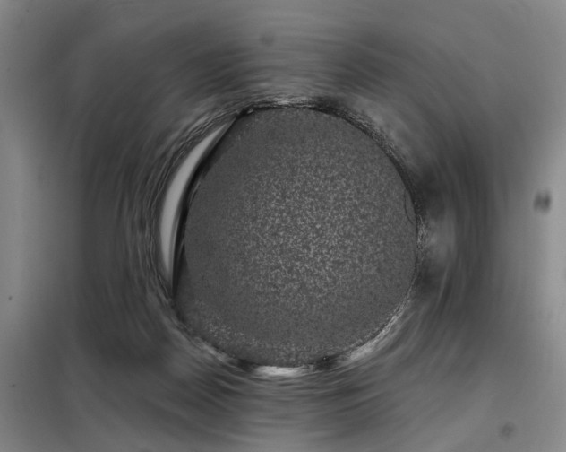 X0000098150170200804171621