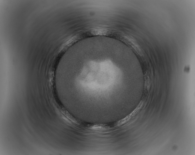 X0000098150171200804171621