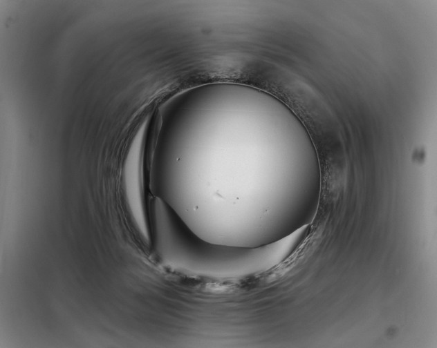 X0000098150172200804171621