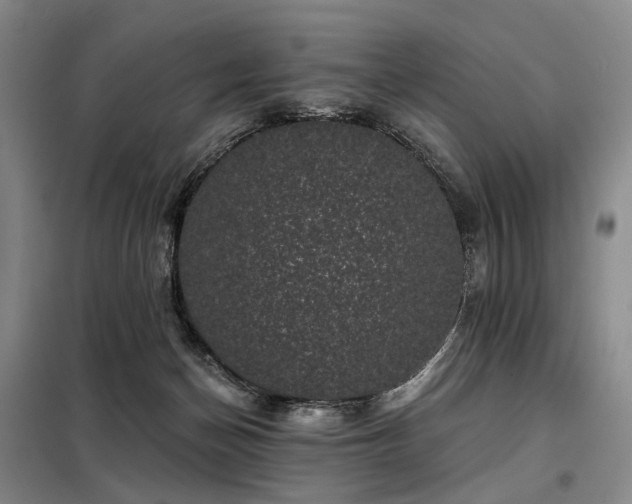 X0000098150174200804171621