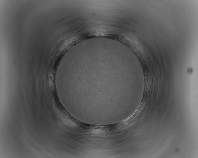 X0000098150175200804171621