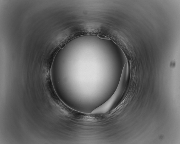 X0000098150176200804171621