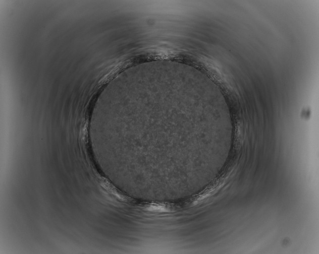 X0000098150177200804171622