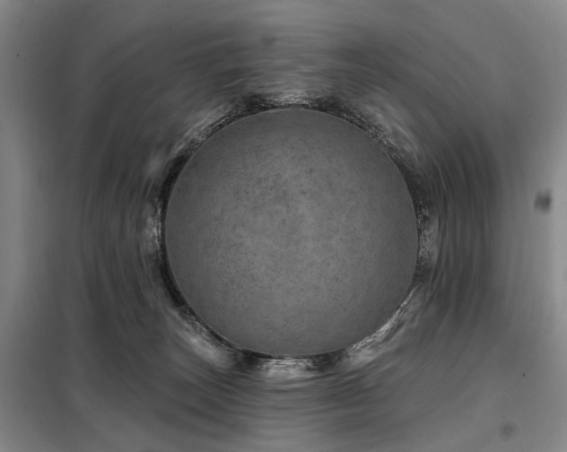X0000098150179200804171622