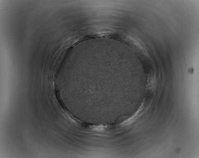 X0000098150182200804171622