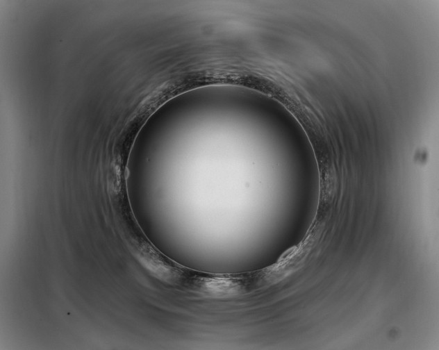 X0000098150183200804171622