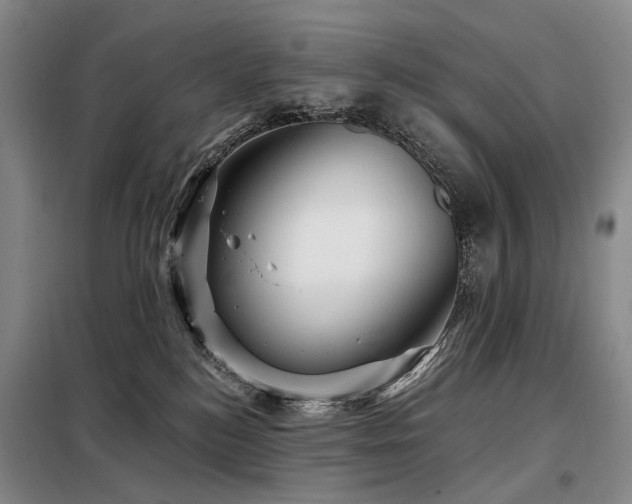 X0000098150184200804171622