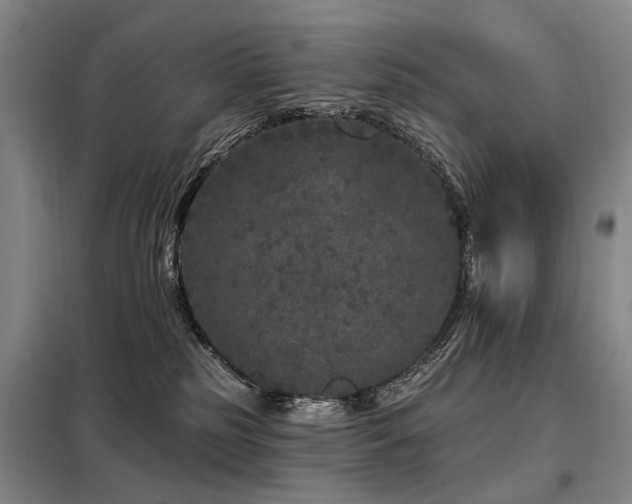 X0000098150185200804171622