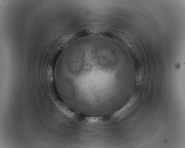 X0000098150187200804171622