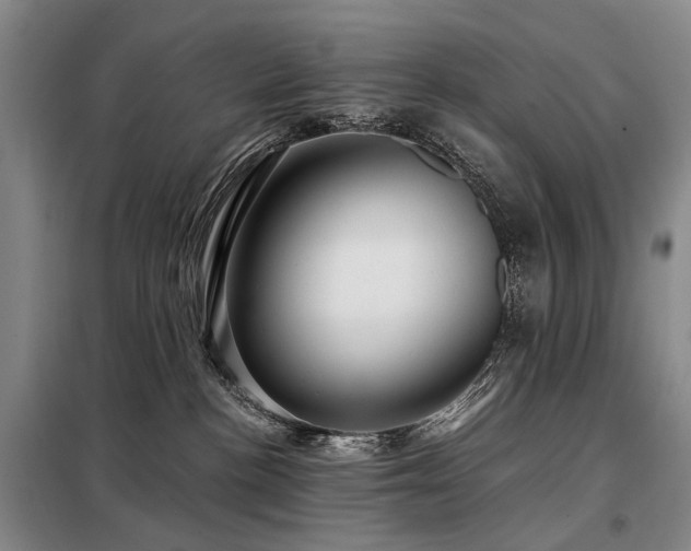 X0000098150188200804171622