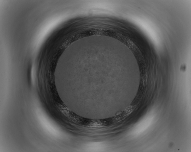 X0000098150189200804171622