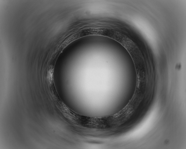 X0000098150190200804171622