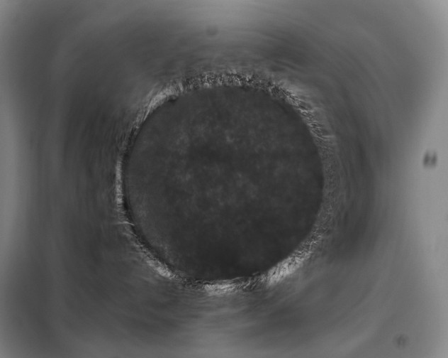 X0000098150192200804171622