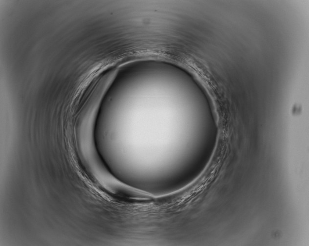 X0000098150193200804171621