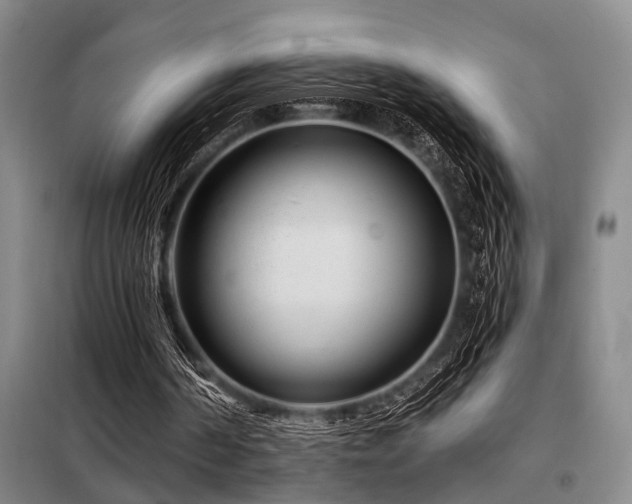 X0000098150194200804171621