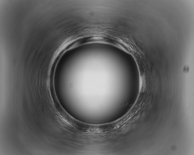 X0000098150195200804171621