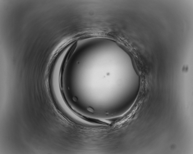 X0000098150197200804171621