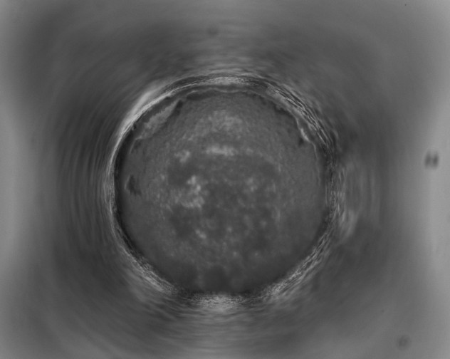 X0000098150198200804171621