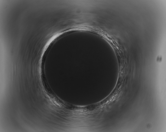 X0000098150200200804171621