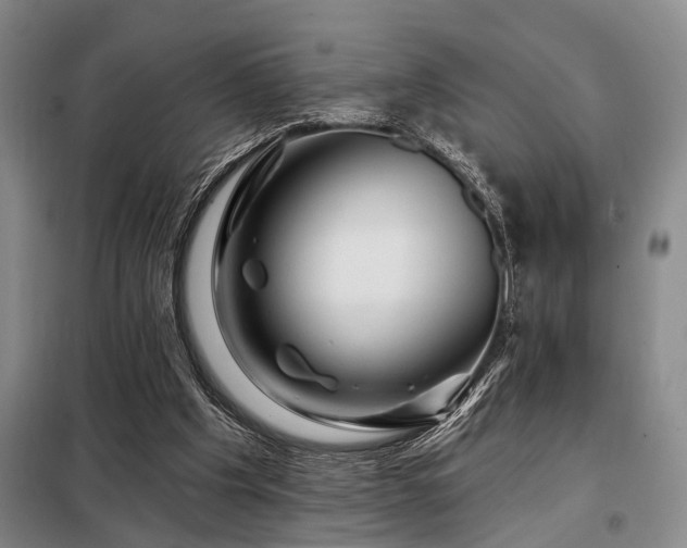 X0000098150201200804171621