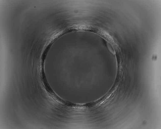 X0000098150202200804171621