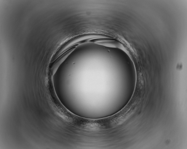 X0000098150203200804171621