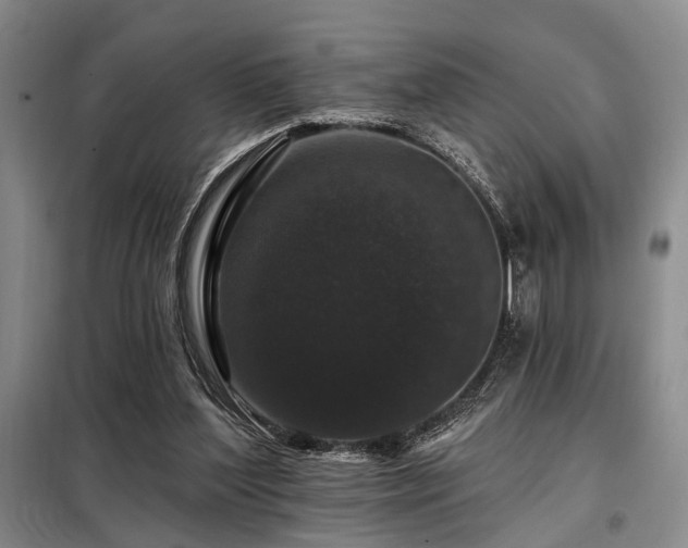 X0000098150204200804171621