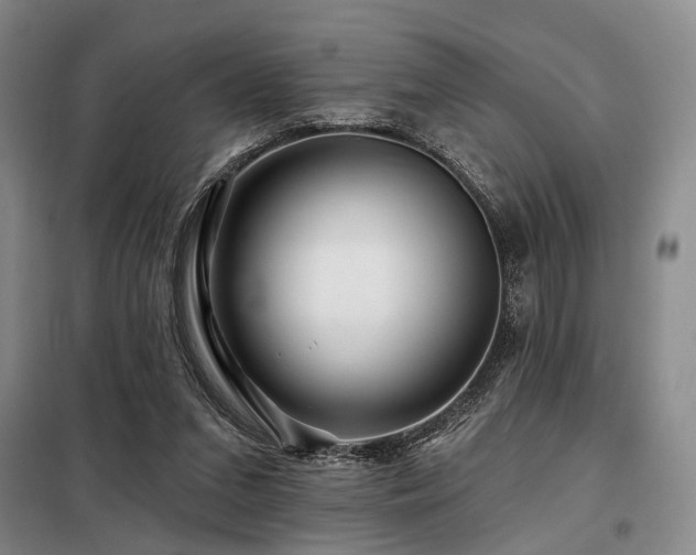 X0000098150207200804171621