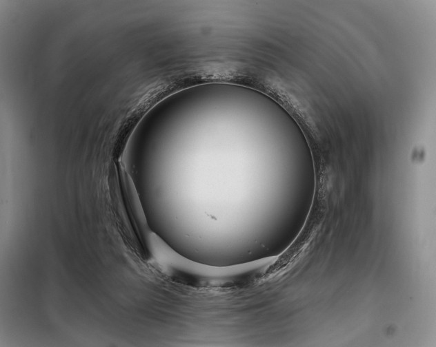 X0000098150209200804171621