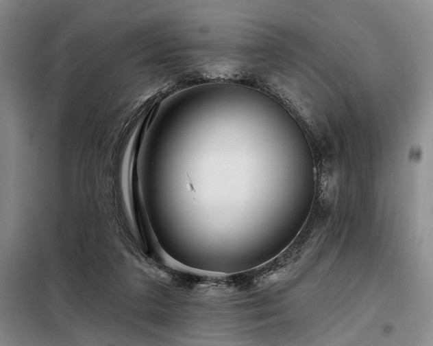 X0000098150211200804171621