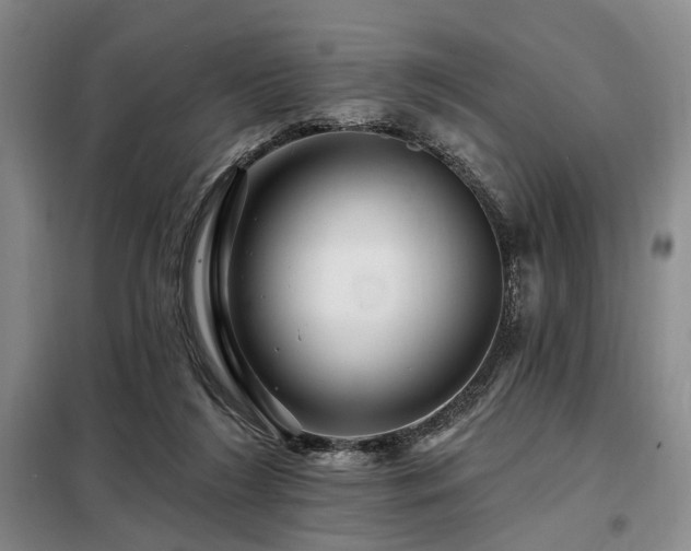 X0000098150212200804171621
