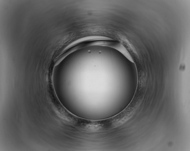 X0000098150213200804171621