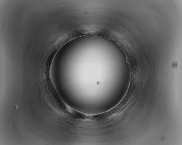 X0000098150215200804171621