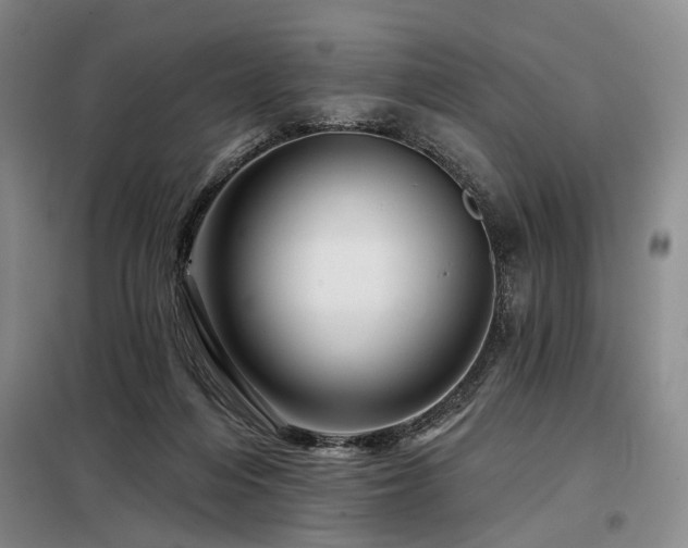 X0000098150216200804171621