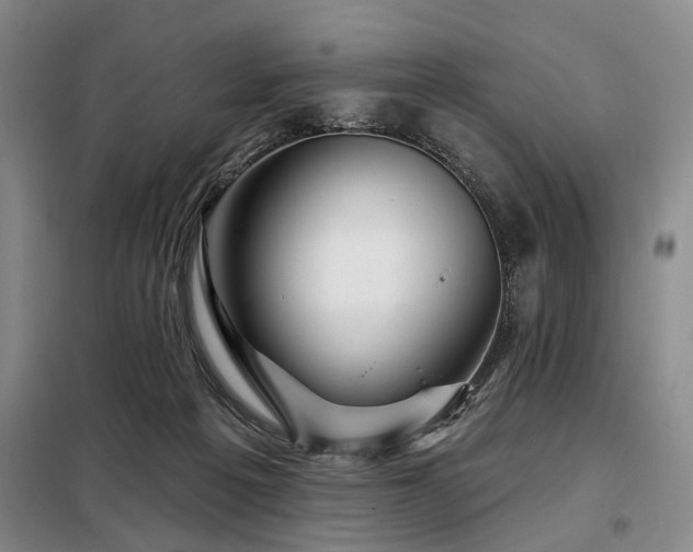 X0000098150217200804171621