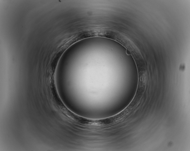 X0000098150218200804171621