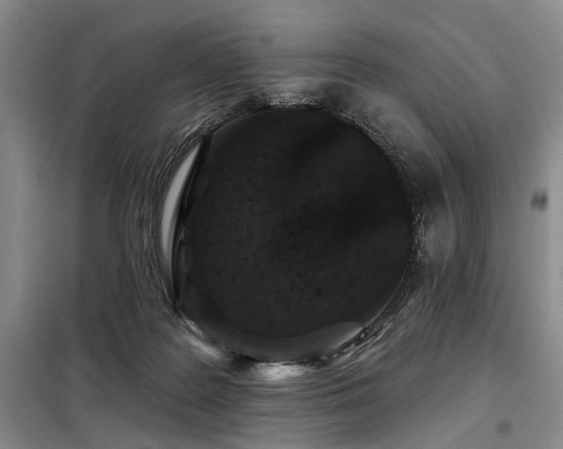 X0000098150219200804171621