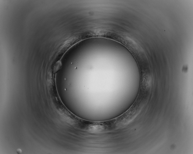 X0000098150220200804171621