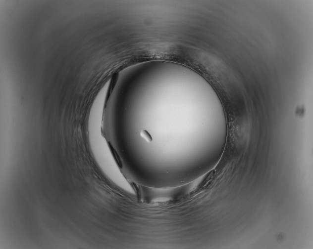 X0000098150221200804171621