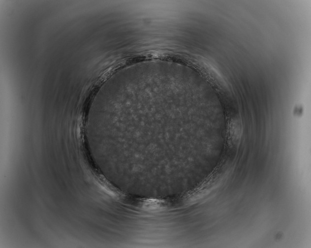 X0000098150222200804171621