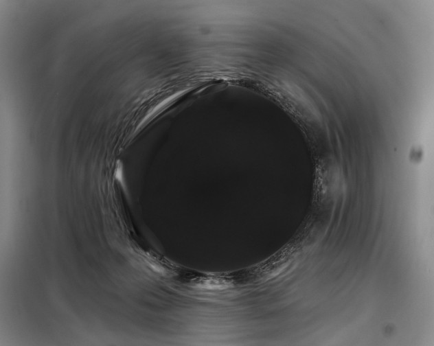X0000098150223200804171621