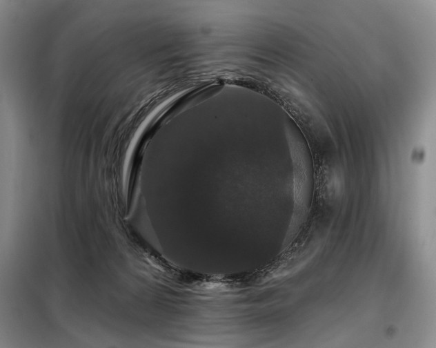 X0000098150224200804171621