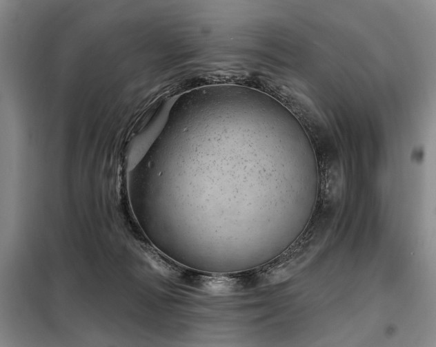 X0000098150226200804171621