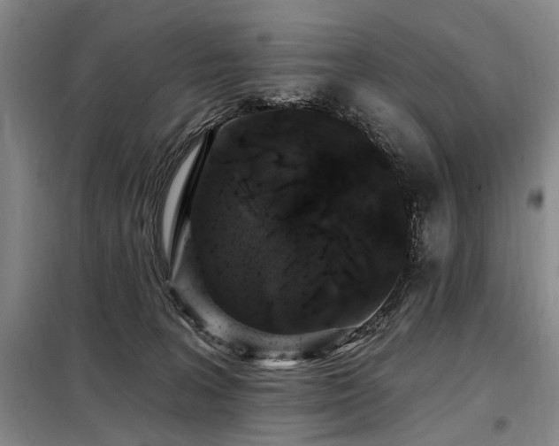 X0000098150227200804171621
