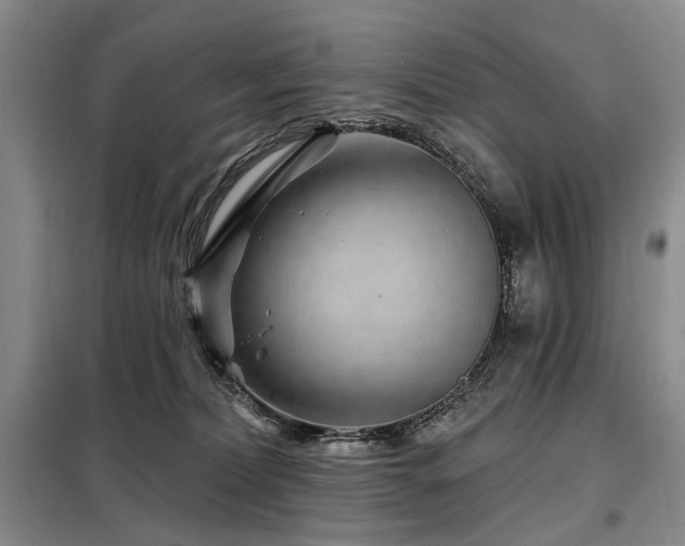 X0000098150228200804171621