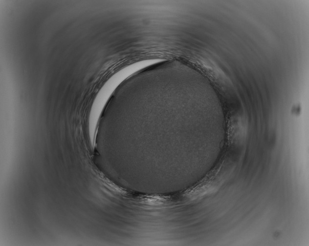 X0000098150229200804171621