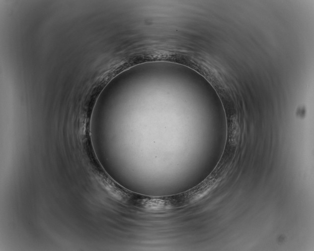 X0000098150230200804171621