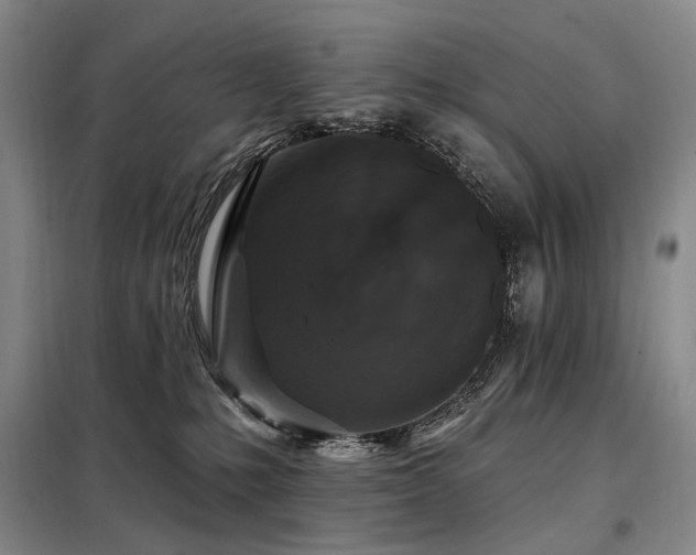 X0000098150231200804171621